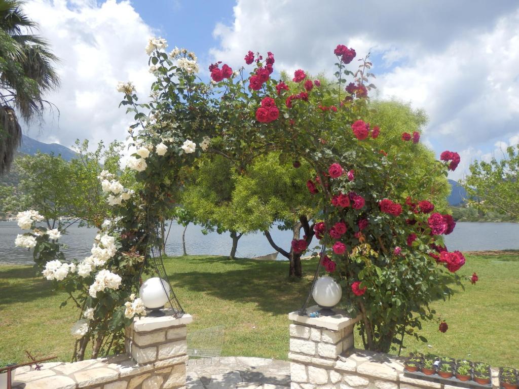 The Garden'S Studios Vlikhón Екстериор снимка