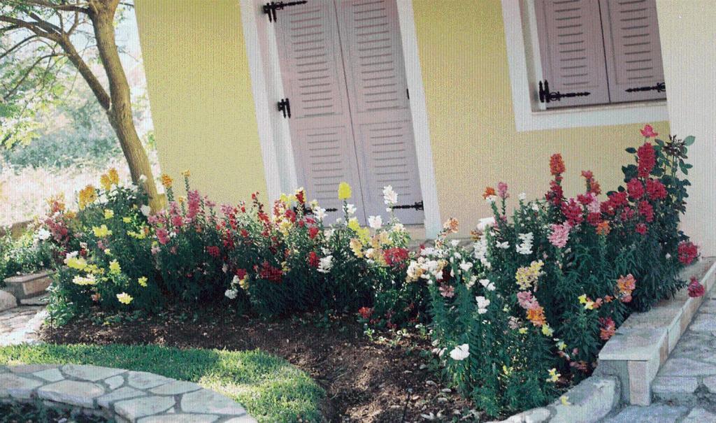 The Garden'S Studios Vlikhón Екстериор снимка