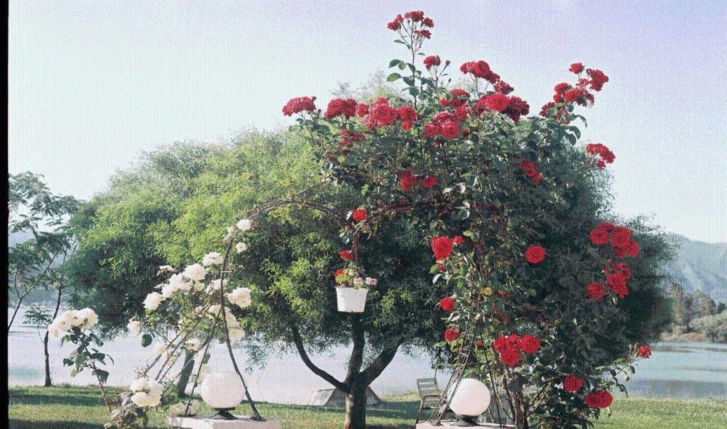 The Garden'S Studios Vlikhón Екстериор снимка